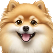 Pomeranian sticker