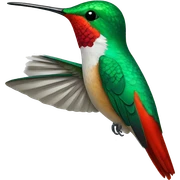 Hummingbird red sticker