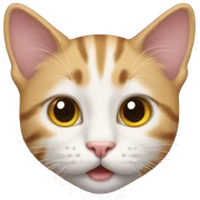 A cat sticker