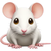 ྀིྀrat sticker