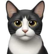 Gato negro y gato blanco sticker