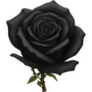 Black rose sticker