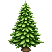  actual white fir christmas tree isolated.  sticker