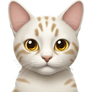 Cat sticker