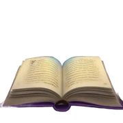 magical learning book sticker