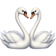 love swan sticker