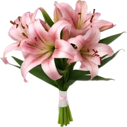 Pink lily ￼bouquet sticker
