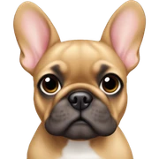 Fawn frenchie sticker