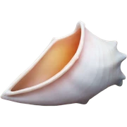conch shell sticker