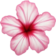 Hibiskus  sticker