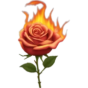 BURNING ROSE sticker
