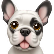 Frenchie sticker