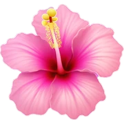 Hibiscus "A pastel pink hibiscus flower with a glowing, vibrant center and sparkles radiating from its soft, curved petals." sticker