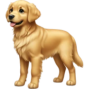 Golden retriever puppy standing sticker