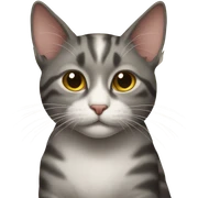 Cat gridding  sticker