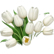 white tulip bouquet  sticker