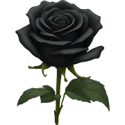 black roses sticker