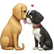 cat and dog kiss sticker