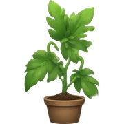 plant sticker