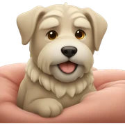 Cozy sticker