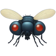 Fly sticker