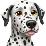 Dalmatian  sticker