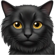 Black Longhaired cat sticker