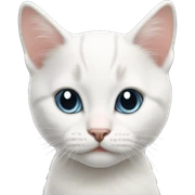 White straight face kitten sticker