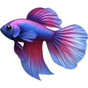 betta fish sticker