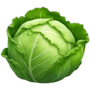 Cabbage sticker