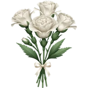 white bouquet Carnation stem flowers sticker