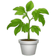 plant sticker