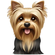 Yorkie sticker