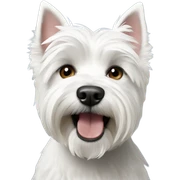 Westie sticker