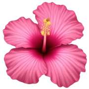 Pink hibiscus flower sticker