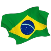 brazil sticker