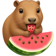 Capybara eats watermelon  sticker