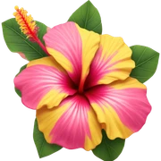yellow and pink hibiscus flower sticker