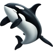 Orca sticker