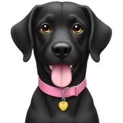 perra negra con collar rosado sticker