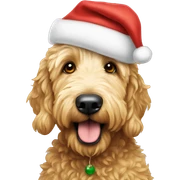 Golden Doodle wearing santa hat sticker