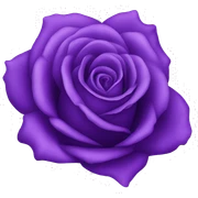Purple rose sticker
