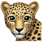 Leopard  sticker