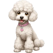 Poodle sticker