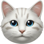 acımış kedi sticker