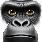 gorilla sticker
