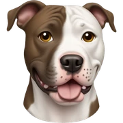 Pitbull sticker