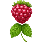 Raspberry  sticker
