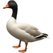goose sticker