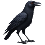 gothic crow sticker